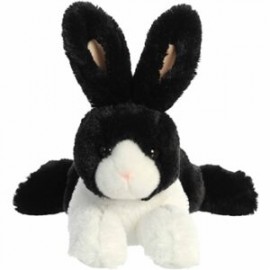 Dutch Rabbit Black