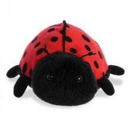 Ladybug Ladybird