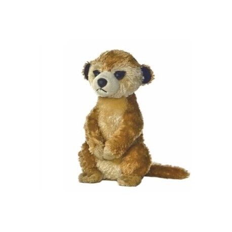 Meerkat II